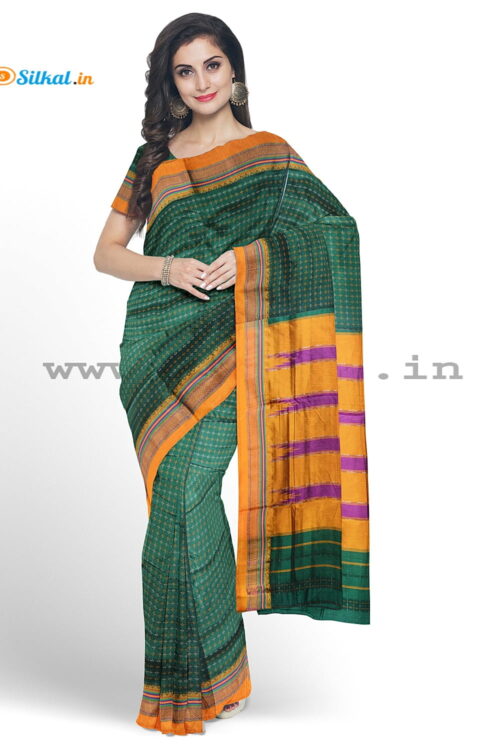 Ilkal Chikki star saree