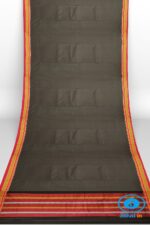 ILKAL PLAIN COTTON SAREE WITH CHIKKI PARAS BORDER