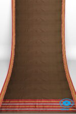 ILKAL PLAIN COTTON SAREE WITH CHIKKI PARAS BORDER