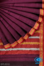 ILKAL PLAIN COTTON SAREE WITH CHIKKI PARAS BORDER
