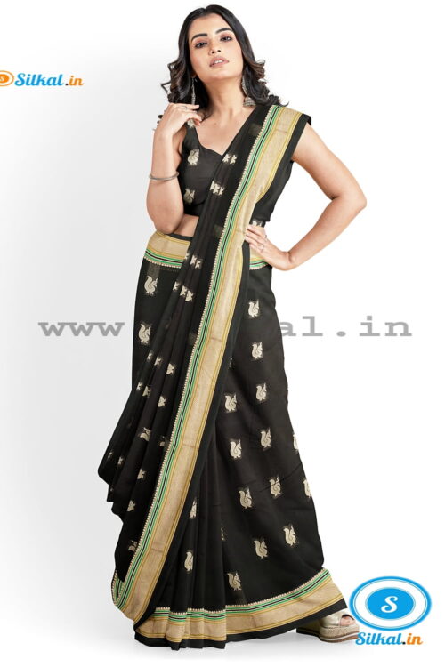 ILKAL MAYURI SAREE WITH CHIKKI BORDER