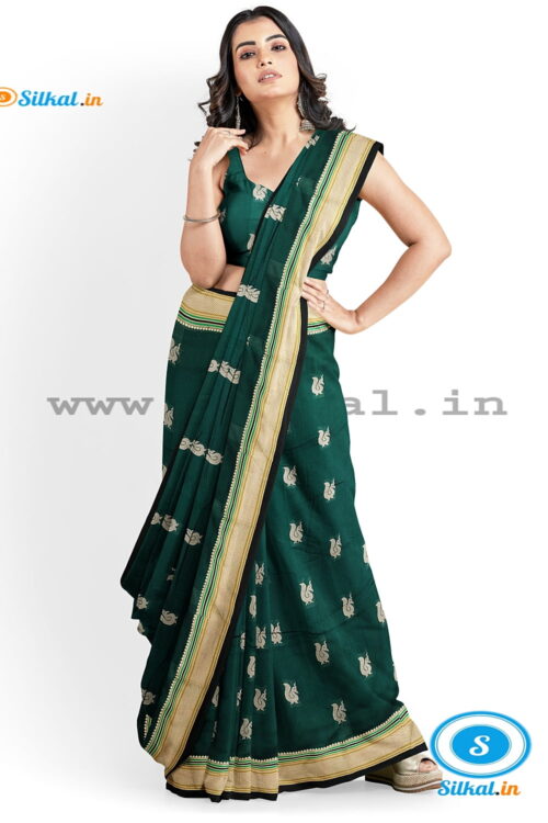 ILKAL MAYURI SAREE WITH CHIKKI BORDER