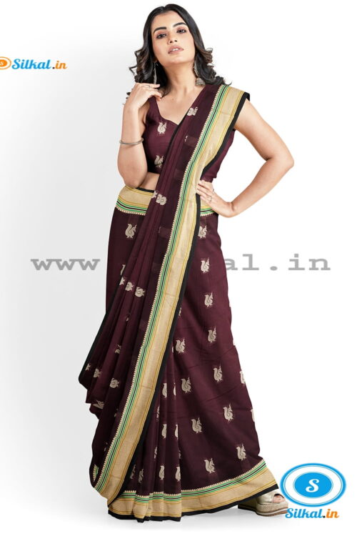 ILKAL MAYURI SAREE WITH CHIKKI BORDER