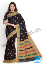 ILKAL MAYURI SAREE WITH CHIKKI BORDER