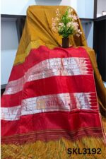 Ilkal Handloom Silk by Cotton Small Checks Bhoomi Border Saree